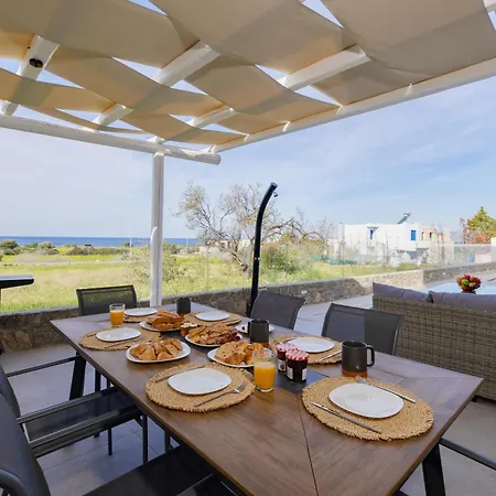 Vasaltis & Selestitis